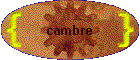 cambre