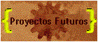 Proyectos Futuros