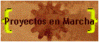 Proyectos en Marcha
